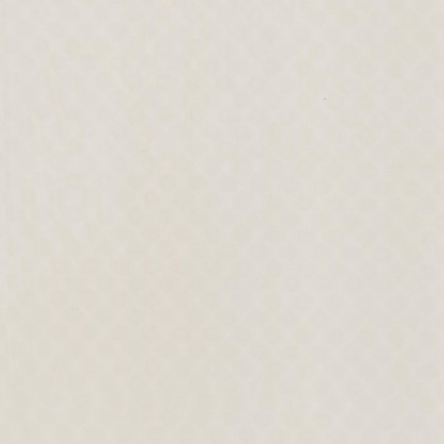 STOUT CYLI-1 CYLINDER 1 PUMICE Fabric - Eades Wallpaper & Fabric
