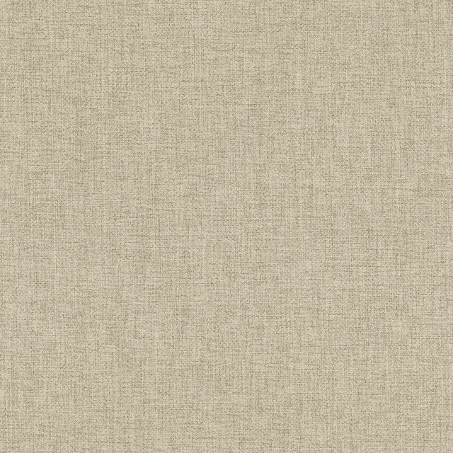 STOUT CYNT-2 CYNTHIA 2 RAFFIA Fabric - Eades Wallpaper & Fabric