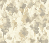 York CZ2466 Mirage Dark Taupe & Gold Wallpaper