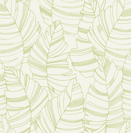 Seabrook Designs DA61404 Wallpaper - Eade's Wallpaper & Fabric