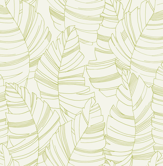 Seabrook Designs DA61404 Wallpaper - Eade's Wallpaper & Fabric
