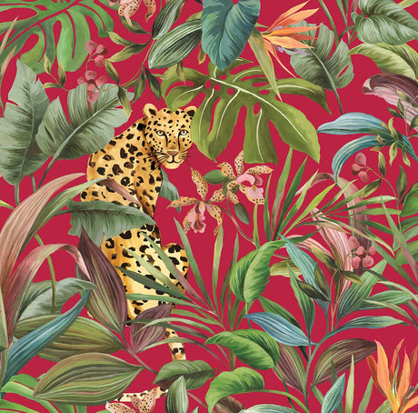Daisy Bennett Designs DB20101 Tropical Leopard Wallpaper