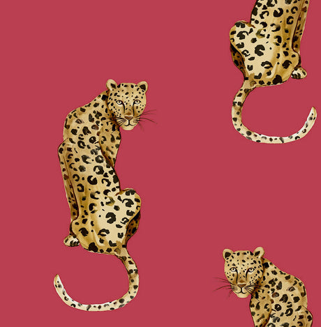 Daisy Bennett Designs DB20201 Leopard King Wallpaper