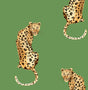 Daisy Bennett Designs DB20204 Wallpaper - Eade's Wallpaper & Fabric