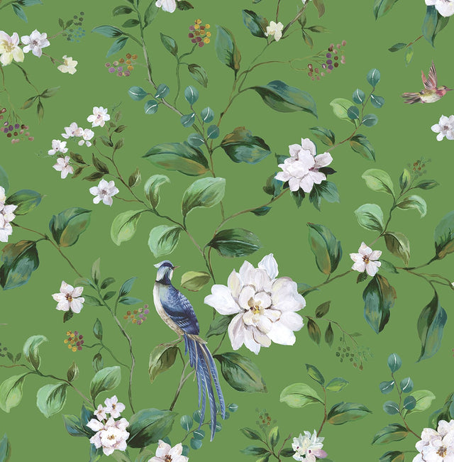 Daisy Bennett Designs DB20804 Chinoiserie Bird Vine Wallpape