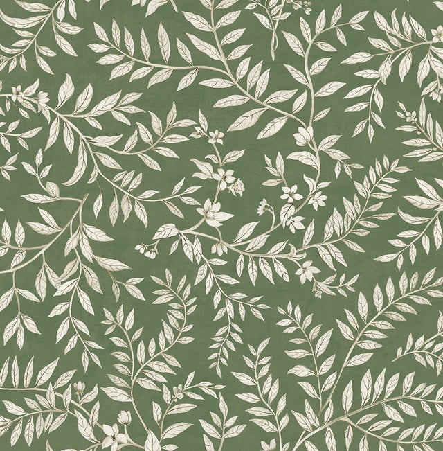 Daisy Bennett Designs DB20904 Vining Leaf Trail Wallpaper