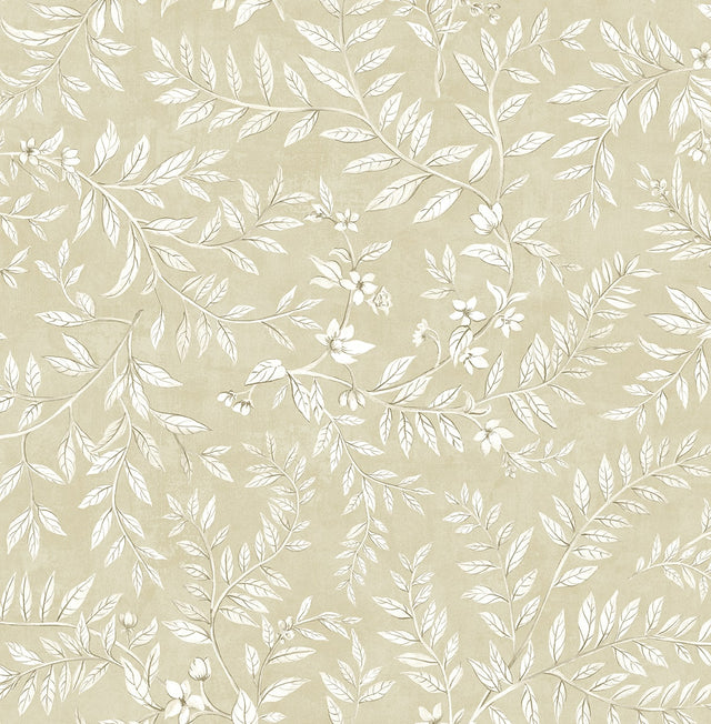 Daisy Bennett Designs DB20905 Vining Leaf Trail Wallpaper