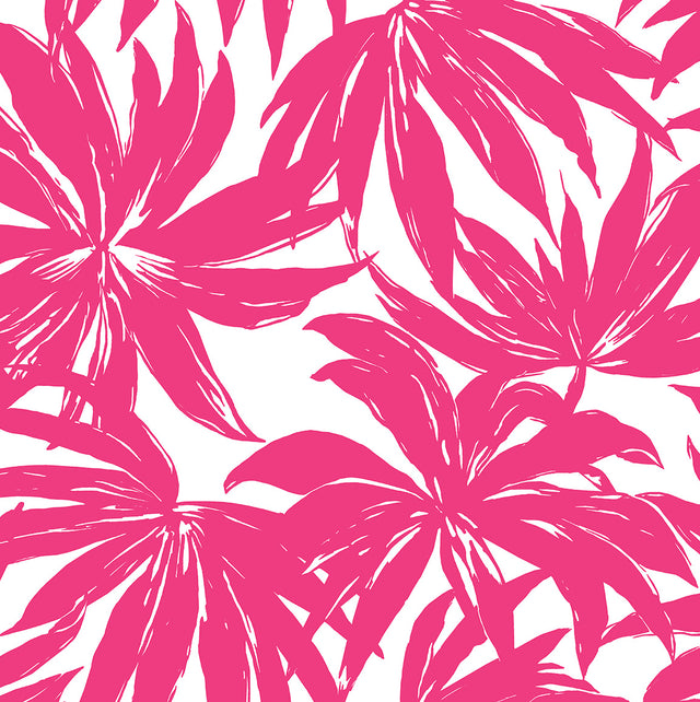 Daisy Bennett Designs DBW9117 Palma Wallpaper