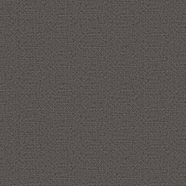 DC30024 Black - Eade’s