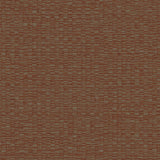 DC30031 Orange - Eade’s