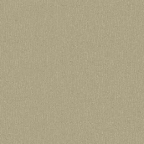 DC30042 Beige - Eade’s