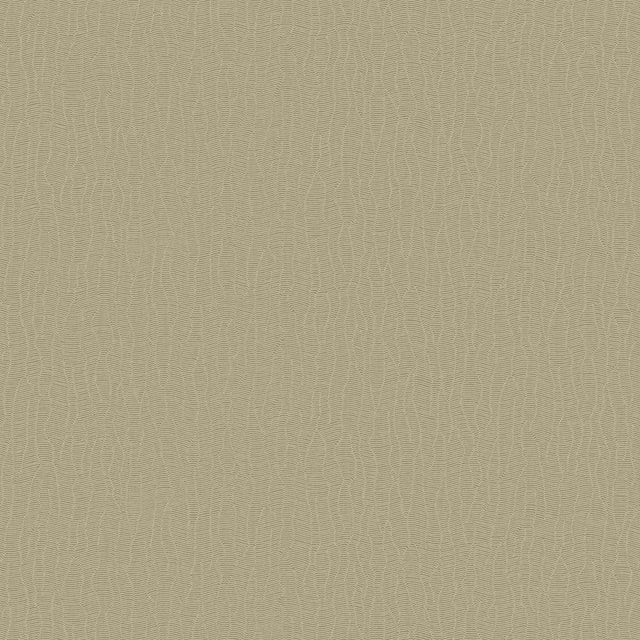 DC30042 Beige - Eade’s