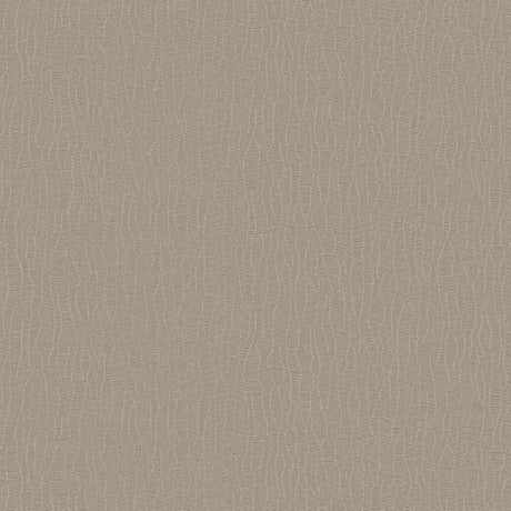 DC30043 Beige - Eade’s