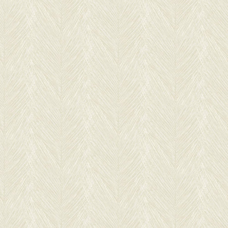 DC30091 Beige - Eade’s