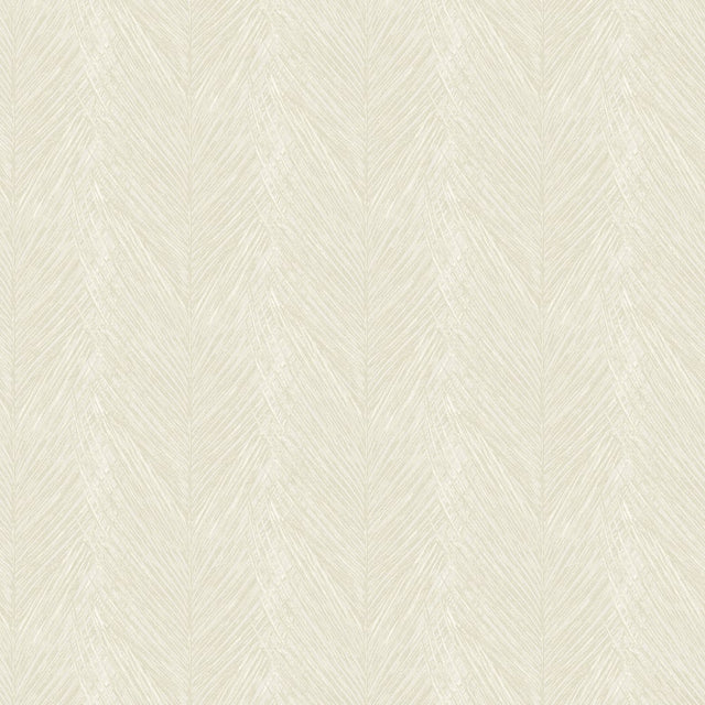 DC30091 Beige - Eade’s