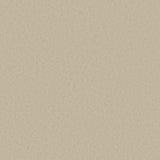 DC30143 Beige - Eade’s