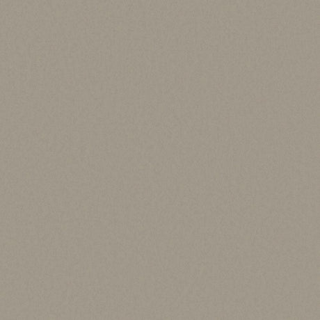 DC30155 Silver Grey - Eade’s