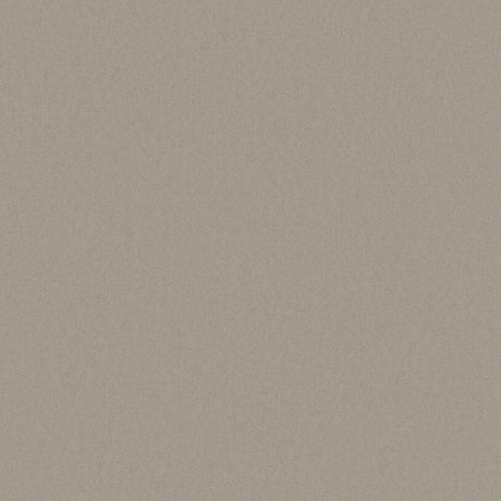 DC30156 Beige - Eade’s
