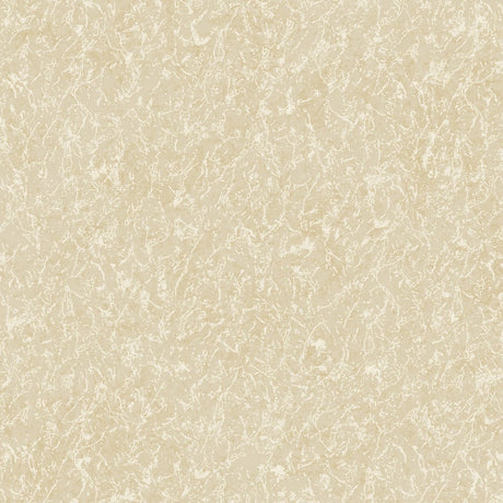 DC30163 Beige - Eade’s