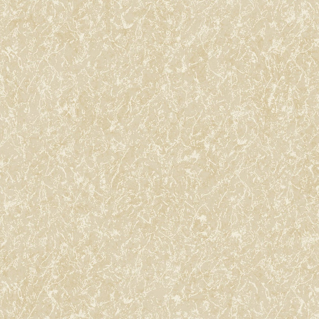 DC30163 Beige - Eade’s