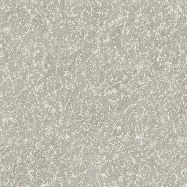 DC30164 Silver Grey - Eade’s