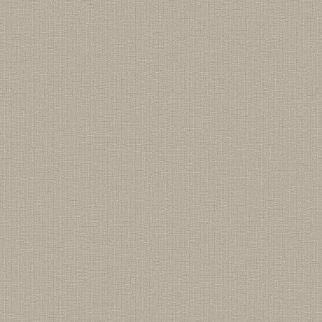 DC30181 Beige - Eade’s