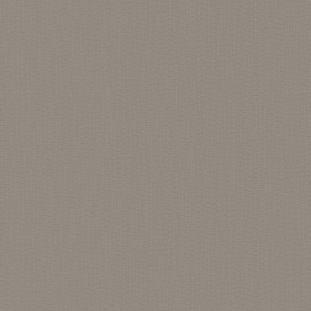 DC30211 Beige - Eade’s