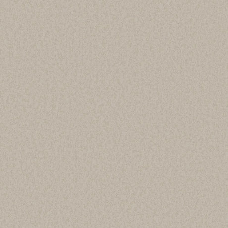 DC30241 Beige - Eade’s