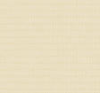 Collins & Company DC61005 Wallpaper - Eade's Wallpaper & Fabric