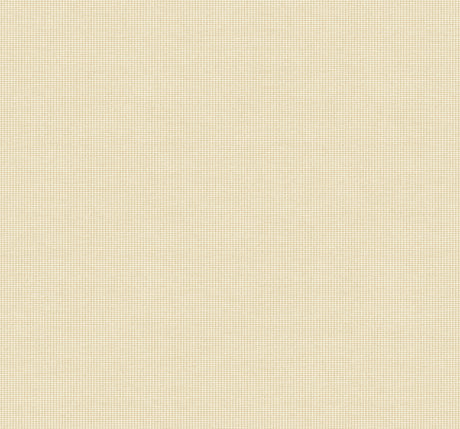 Collins & Company DC61005 Wallpaper - Eade's Wallpaper & Fabric