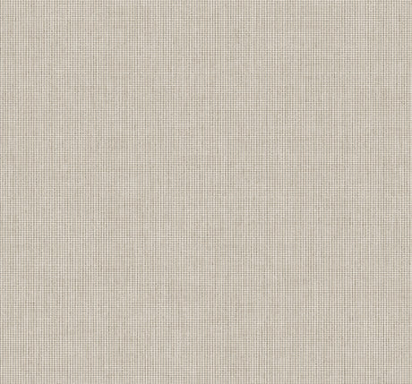 Collins & Company DC61008 Wallpaper - Eade's Wallpaper & Fabric