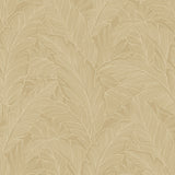 Collins & Company DC61705 Wallpaper - Eade's Wallpaper & Fabric