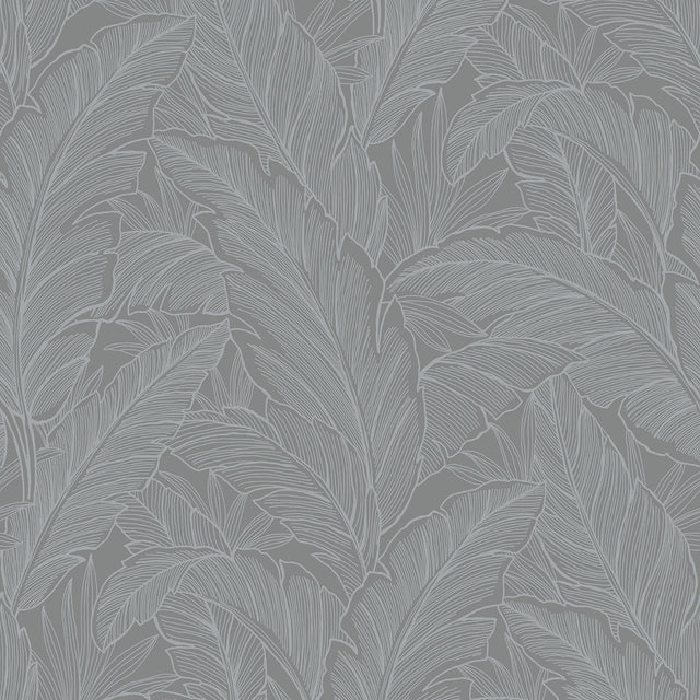 Collins & Company DC61708 Deco Banana Leaf Wallpaper