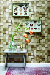 ESTA Home DD138529