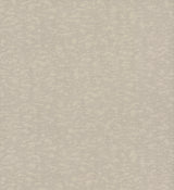 York DD3752 Weathered Cypress Taupe Wallpaper