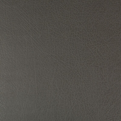 KRAVET DESIGN DEIMOS.21.0 KRAVET DESIGN DEIMOS-21 Fabric - Eade's Wallpaper