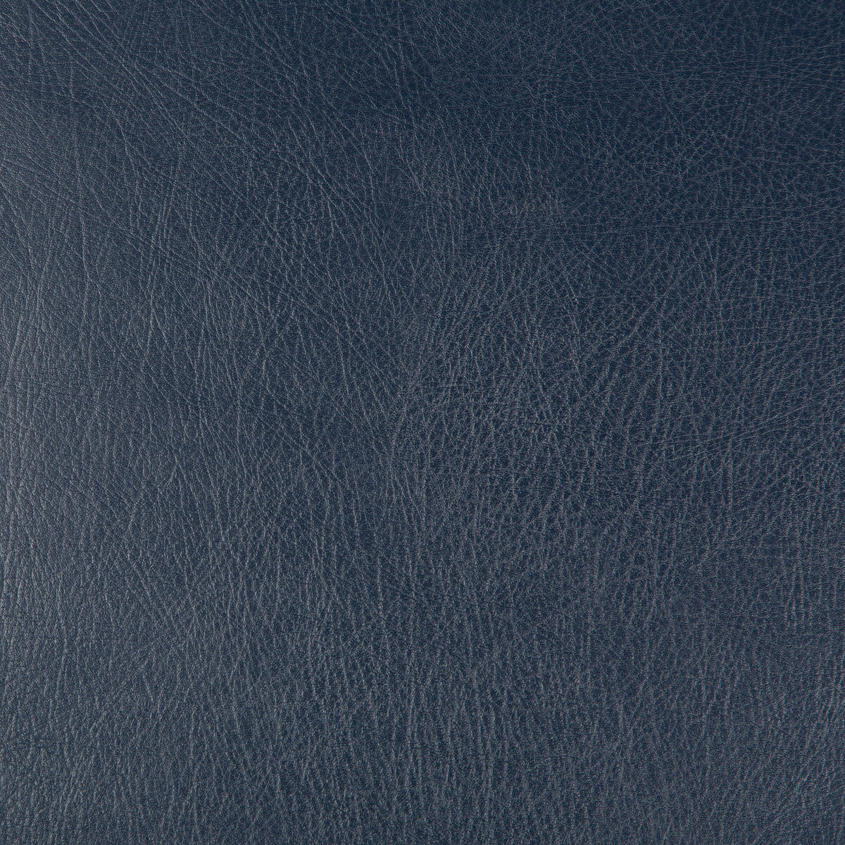 KRAVET DESIGN DEIMOS.50.0 KRAVET DESIGN DEIMOS-50 Fabric - Eade's Wallpaper