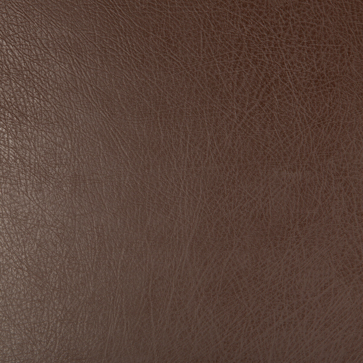 KRAVET DESIGN DEIMOS.6.0 KRAVET DESIGN DEIMOS-6 Fabric - Eade's Wallpaper