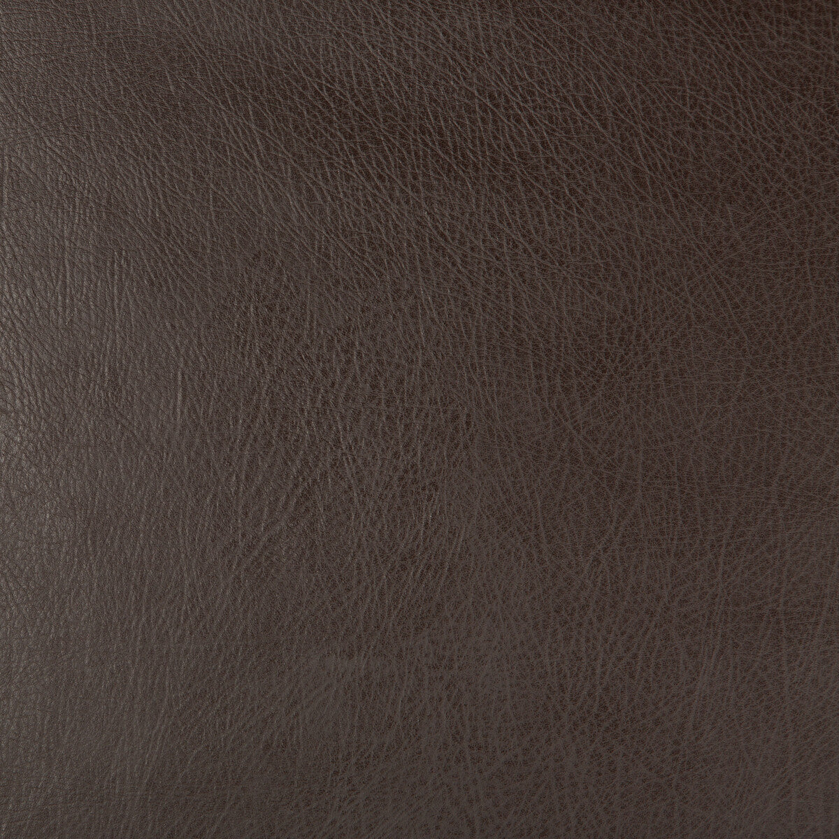 KRAVET DESIGN DEIMOS.66.0 KRAVET DESIGN DEIMOS-66 Fabric - Eade's Wallpaper