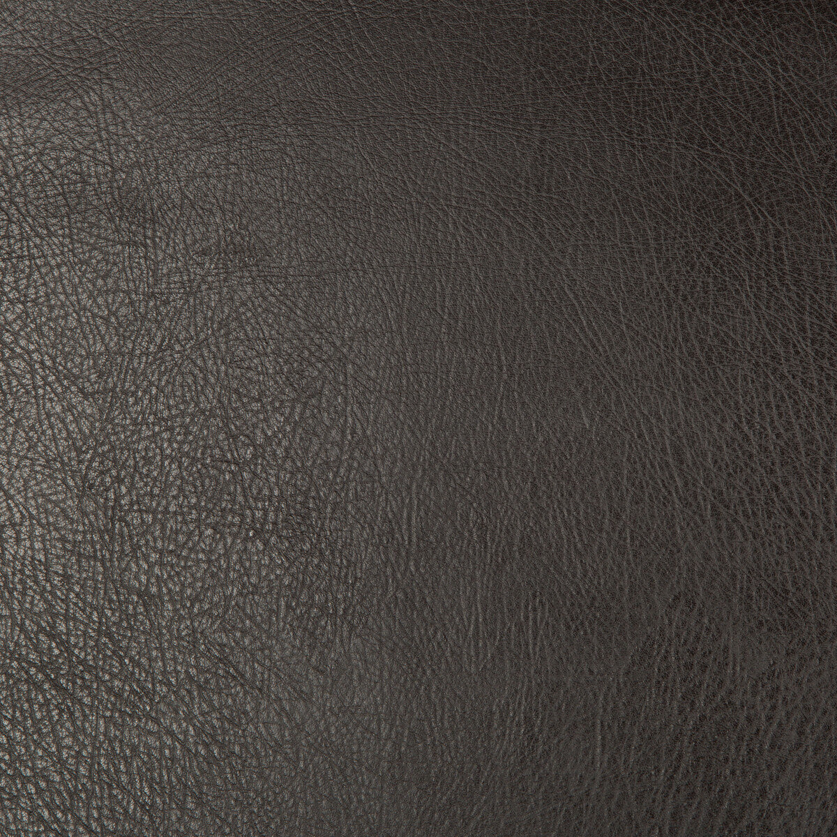 KRAVET DESIGN DEIMOS.68.0 KRAVET DESIGN DEIMOS-68 Fabric - Eade's Wallpaper