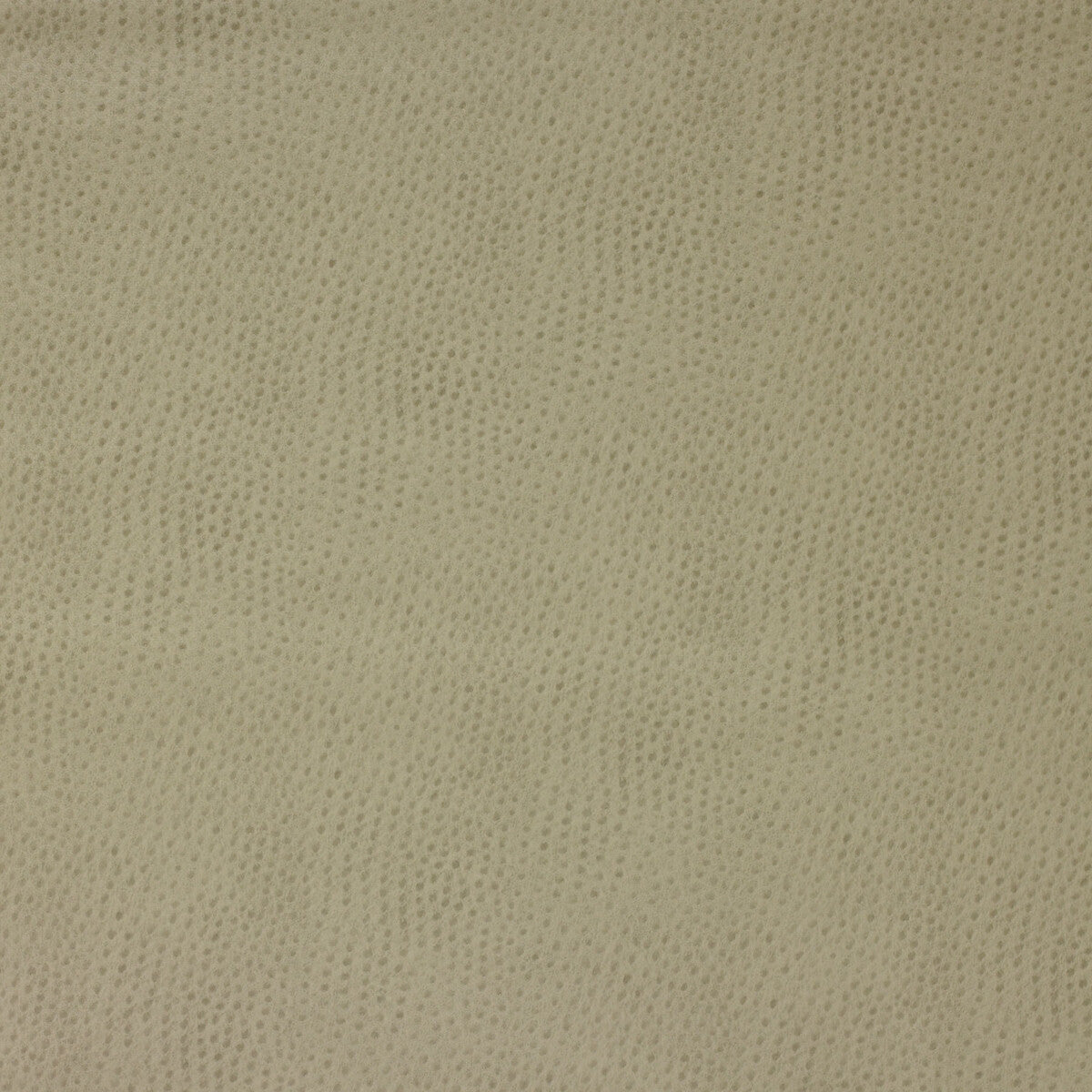 KRAVET DESIGN DELANEY.106.0 KRAVET DESIGN DELANEY-106 Fabric - Eade's Wallpaper