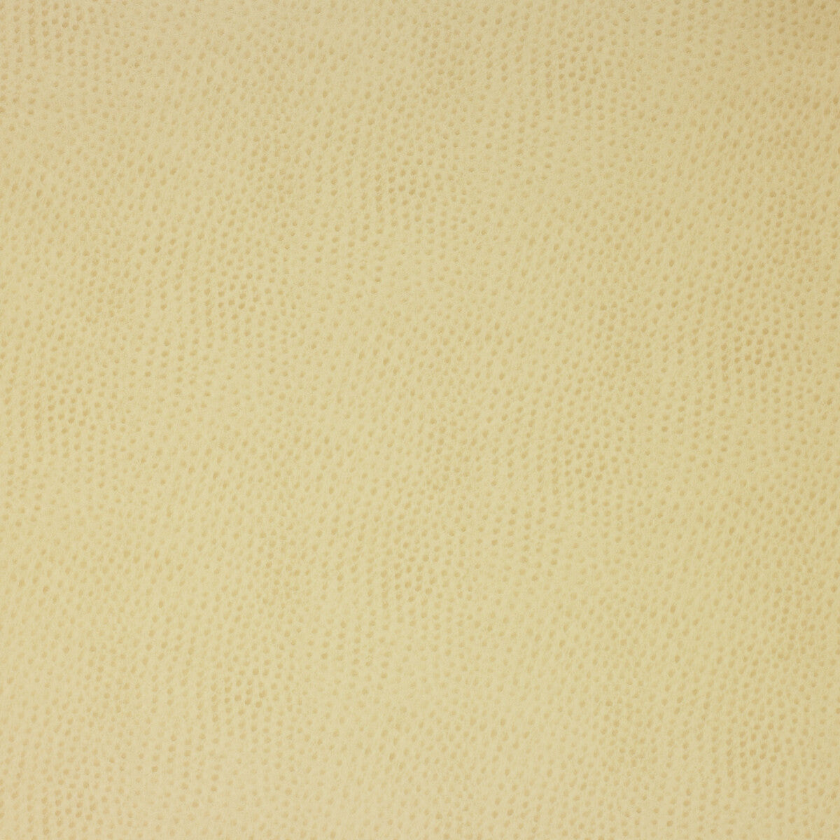 KRAVET DESIGN DELANEY.116.0 KRAVET DESIGN DELANEY-116 Fabric - Eade's Wallpaper