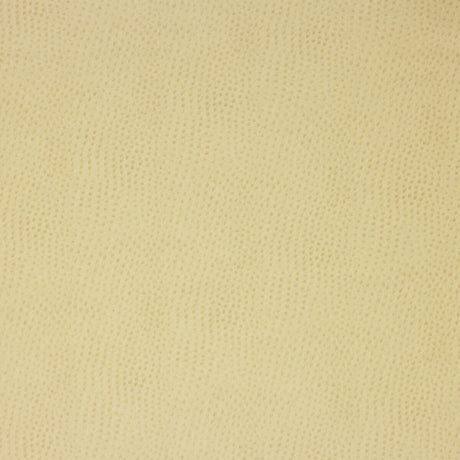 KRAVET DESIGN DELANEY.116.0 KRAVET DESIGN DELANEY-116 Fabric - Eade's Wallpaper