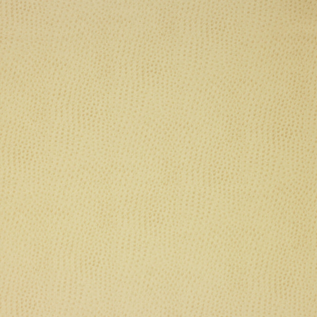 KRAVET DESIGN DELANEY.116.0 KRAVET DESIGN DELANEY-116 Fabric - Eade's Wallpaper