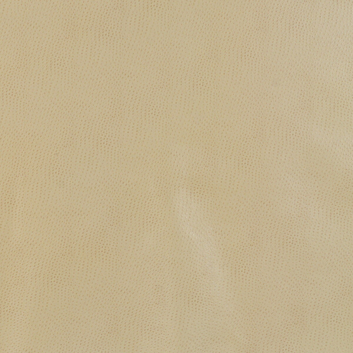 KRAVET DESIGN DELANEY.16.0 KRAVET DESIGN DELANEY-16 Fabric - Eade's Wallpaper
