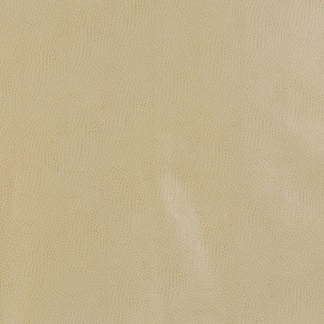 KRAVET DESIGN DELANEY.16.0 KRAVET DESIGN DELANEY-16 Fabric - Eade's Wallpaper