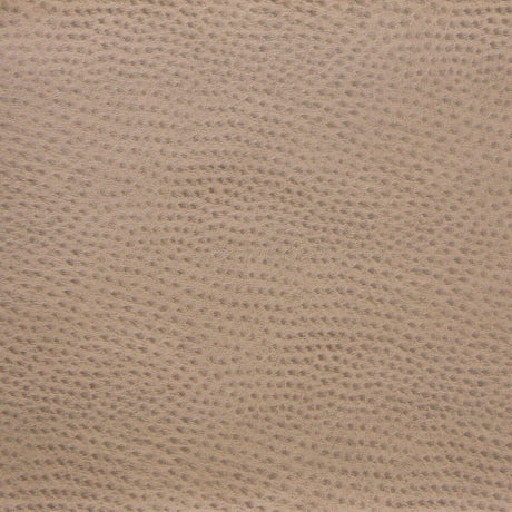 KRAVET DESIGN DELANEY.1616.0 KRAVET DESIGN DELANEY-1616 Fabric - Eade's Wallpaper