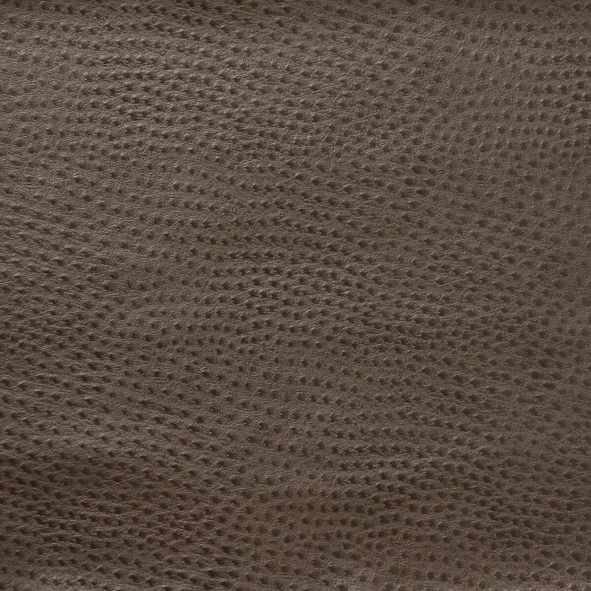 KRAVET DESIGN DELANEY.2121.0 KRAVET DESIGN DELANEY-2121 Fabric - Eade's Wallpaper