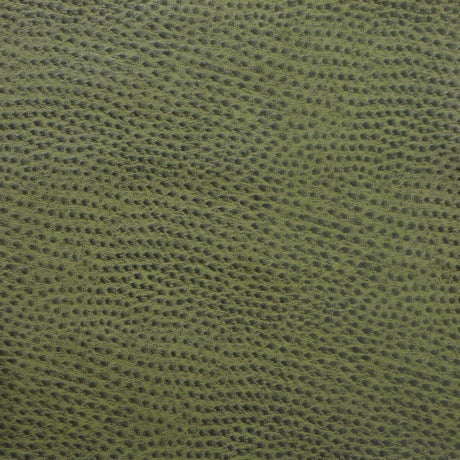 KRAVET DESIGN DELANEY.3.0 KRAVET DESIGN DELANEY-3 Fabric - Eade's Wallpaper