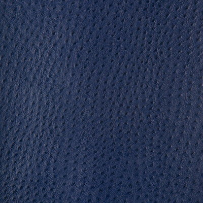 KRAVET DESIGN DELANEY.50.0 KRAVET DESIGN DELANEY-50 Fabric - FAUX LEATHER IV